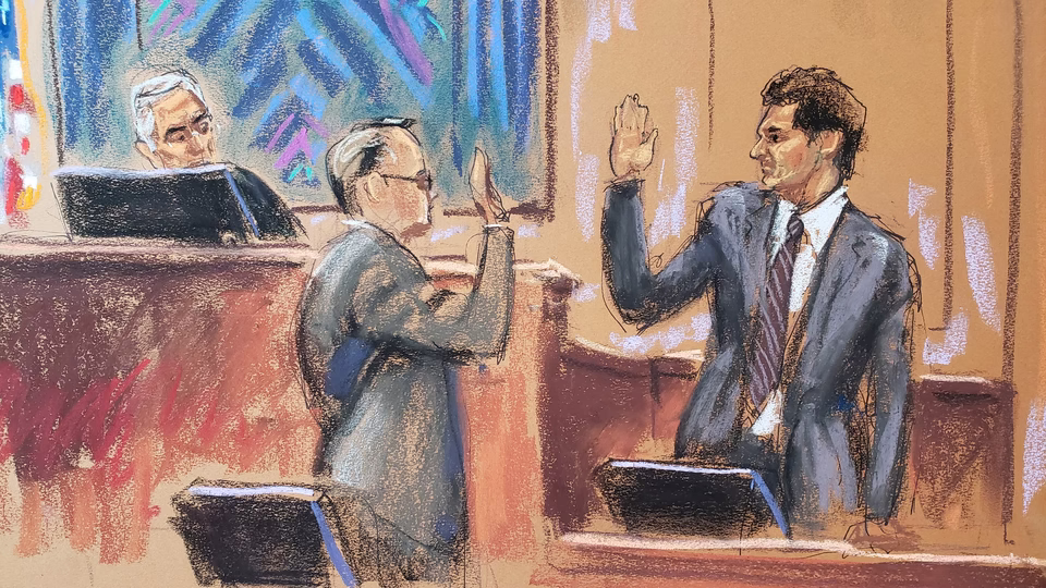 ellison provided vital information to put bankman-fried behind bars